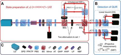 Experimental Investigation of Quantum Uncertainty Relations With Classical Shadows